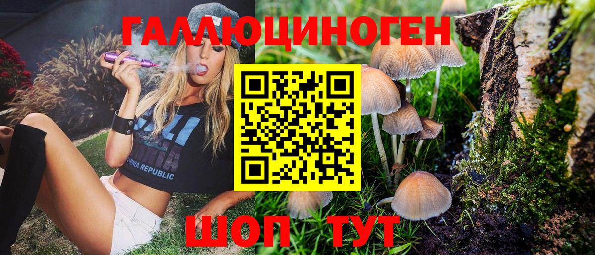сколько стоит  Галлюциногенные грибы MAGIC MUSHROOMS  Вход с VPN  Улан-Удэ 