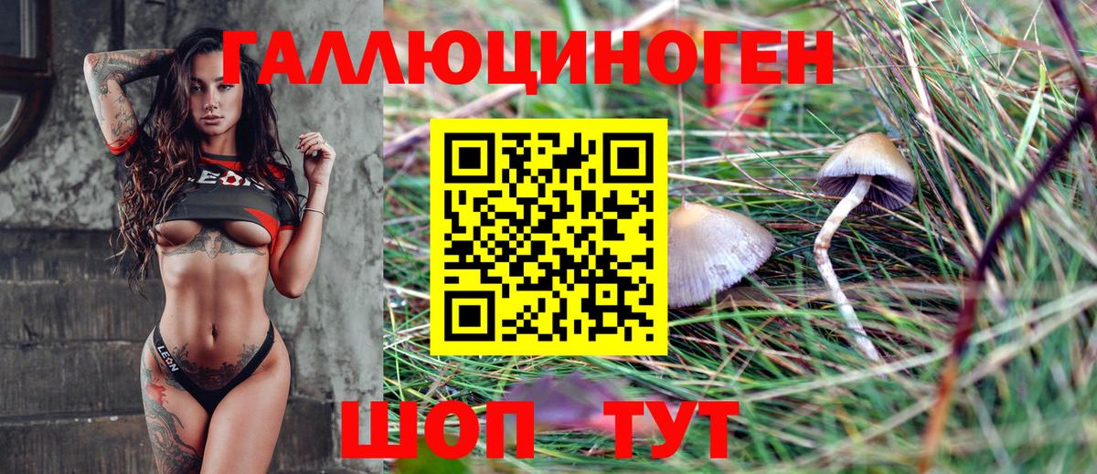 Каннабис  Меф МЯУ МЯУ  ГАШ  Улан-Удэ  МЕТ  Меф МЯУ МЯУ   Вход с VPN 