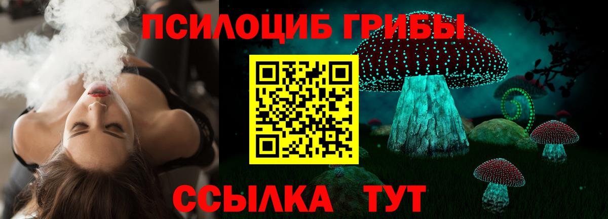 Псилоцибиновые грибы Psilocybine cubensis Улан-Удэ
