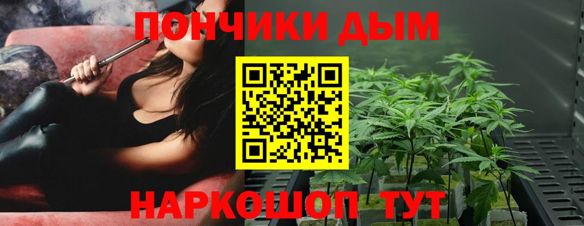 Конопля тримм  Каннабис планчик  Вход с VPN  Канабис OG Kush  Улан-Удэ 